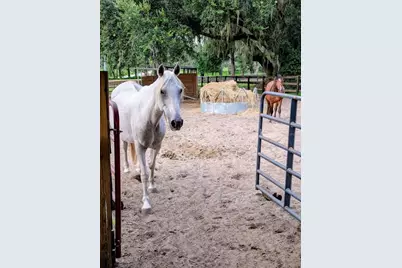 15243 S Highway 25, Weirsdale, FL 32195 - Photo 59