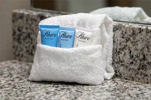 4611 Terrasonesta Dr, Davenport, FL 33837 - Photo 5