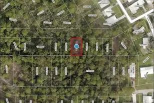 Karen Lot 67, Mount Dora, FL 32757 - Photo 1
