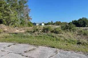 607 Homosassa Ln, Poinciana, FL 34759 - Photo 1