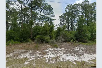 479 Johnson Avenue NE, Lake Placid, FL 33852 - Photo 1