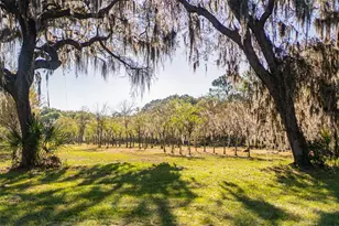 280 Campbell Ranch Run, Geneva, FL 32732 - Photo 17