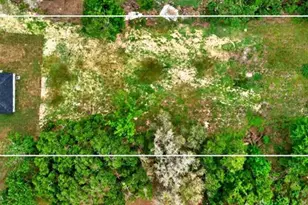 607 Thomas Ave, Leesburg, FL 34748 - Photo 51