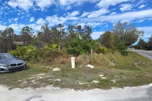 303 Tern Ave, Sebring, FL 33870 - Photo 1