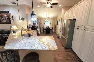 1001 Torreya Way, Odessa, FL 33556 - Photo 9