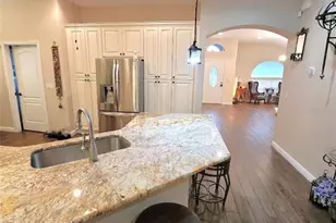 1001 Torreya Way, Odessa, FL 33556 - Photo 17