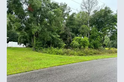 1 Guava Pass Trail, Ocklawaha, FL 32179 - Photo 1