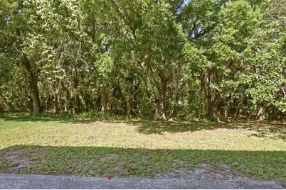 19222 Wood Sage Drive, Tampa, FL 33647 - Photo 19