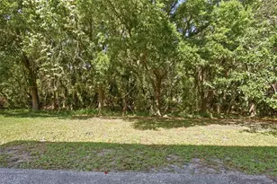 19222 Wood Sage Dr, Tampa, FL 33647 - Photo 19