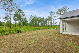 42875 Honeysuckle St, Eustis, FL 32736 - Photo 27