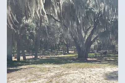 200 Fisher Road, Ocklawaha, FL 32179 - Photo 19