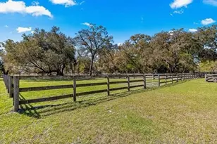 15950 NE 50 St, Williston, FL 32696 - Photo 37