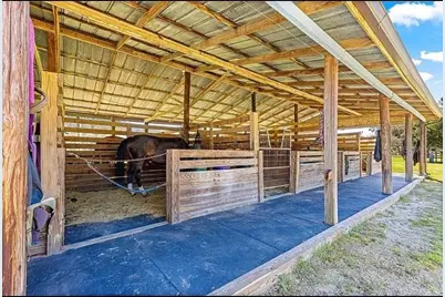 15950 NE 50th Street, Williston, FL 32696 - Photo 31