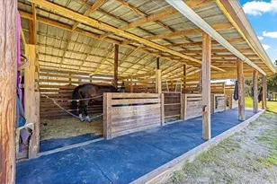 15950 NE 50 St, Williston, FL 32696 - Photo 31