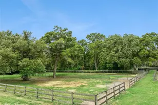 15950 NE 50 St, Williston, FL 32696 - Photo 35
