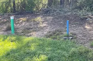 1318 Homosassa Dr, Kissimmee, FL 34759 - Photo 1