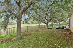 4627 Blue Major Dr, Windermere, FL 34786 - Photo 33