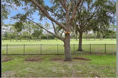 4627 Blue Major Drive, Windermere, FL 34786 - Photo 35