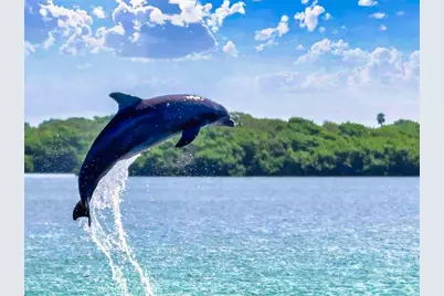 402 Bouchelle Drive #206, New Smyrna Beach, FL 32169 - Photo 53