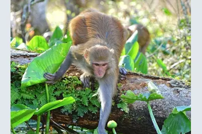 14390 SW 48th Court Road, Ocala, FL 34473 - Photo 21