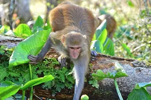 Tbd SW 37th Terrace, Ocala, FL 34473 - Photo 21