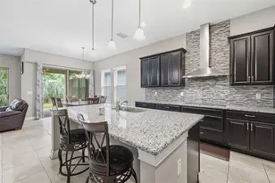 10431 Alcon Blue Dr, Riverview, FL 33578 - Photo 3