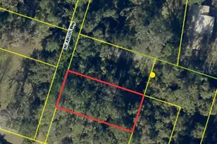 0 NE Angus Way, Lake City, FL 32055 - Photo 1