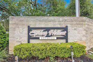 211 Spring Hollow Blvd, Apopka, FL 32712 - Photo 37