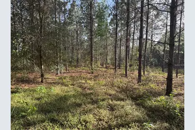 State Road 44, Eustis, FL 32726 - Photo 3