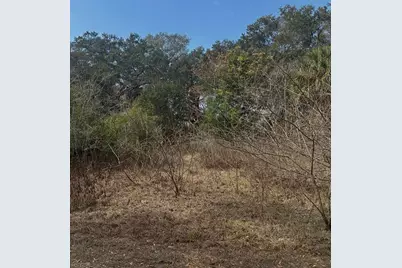 16644 SE 134th Terrace, Weirsdale, FL 32195 - Photo 1