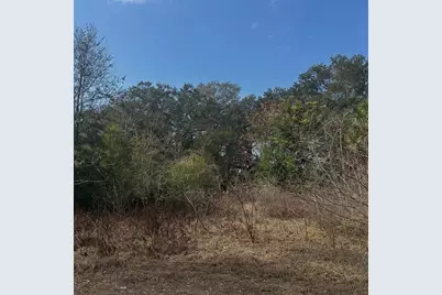 16644 SE 134th Terrace, Weirsdale, FL 32195 - Photo 3