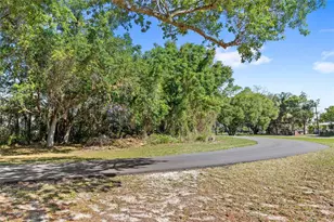 1937 Standing Rock Cir, Oakland, FL 34787 - Photo 49