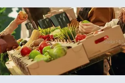 Tbd SW 31st Terrace Road, Ocala, FL 34473 - Photo 23