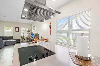 11368 Satire Street, Orlando, FL 32832 - Photo 11