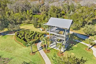 11368 Satire St, Orlando, FL 32832 - Photo 87