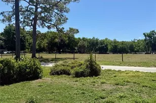 13519 Woodland Dr, Astatula, FL 34705 - Photo 11