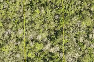 N St, Deland, FL 32724 - Photo 1