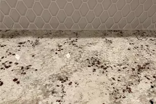 2950 Firebush Wy, Clermont, FL 34711 - Photo 5