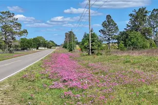 SE 60th St, Morriston, FL 32668 - Photo 1