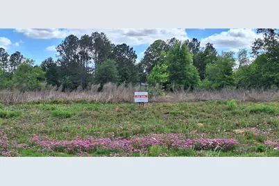 Se 60th Street, Morriston, FL 32668 - Photo 7