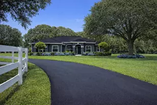 33015 Sahara Ct, Sorrento, FL 32776 - Photo 3