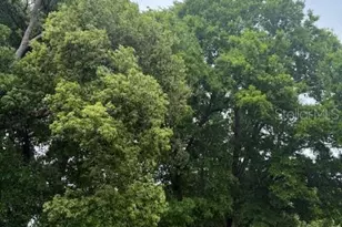 3424 Alissa Ct, Orlando, FL 32808 - Photo 7