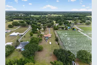 2425 Hawk Griffin Road, Plant City, FL 33565 - Photo 49