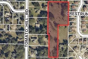 0 Tomato Hill Rd, Leesburg, FL 34748 - Photo 1