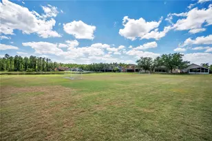 1143 Willow Branch Dr, Orlando, FL 32828 - Photo 73