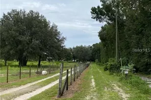 9401 NE 41st Ct, Anthony, FL 32617 - Photo 25