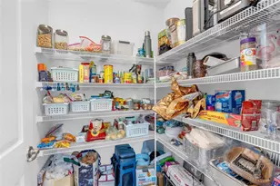 15161 Canoe Pl, Winter Garden, FL 34787 - Photo 9