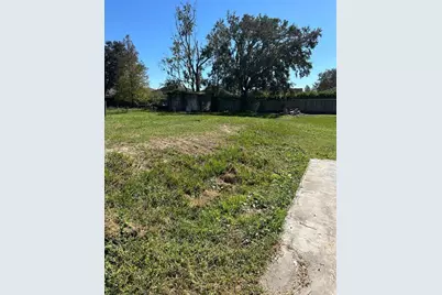 26326 Foamflower Boulevard, Wesley Chapel, FL 33544 - Photo 3
