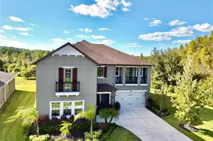 1879 Whitewillow Dr, Wesley Chapel, FL 33543 - Photo 3