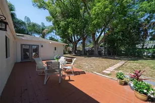 517 Roughbeard Rd, Winter Park, FL 32792 - Photo 53